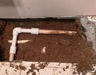 南通市测漏水哪家好